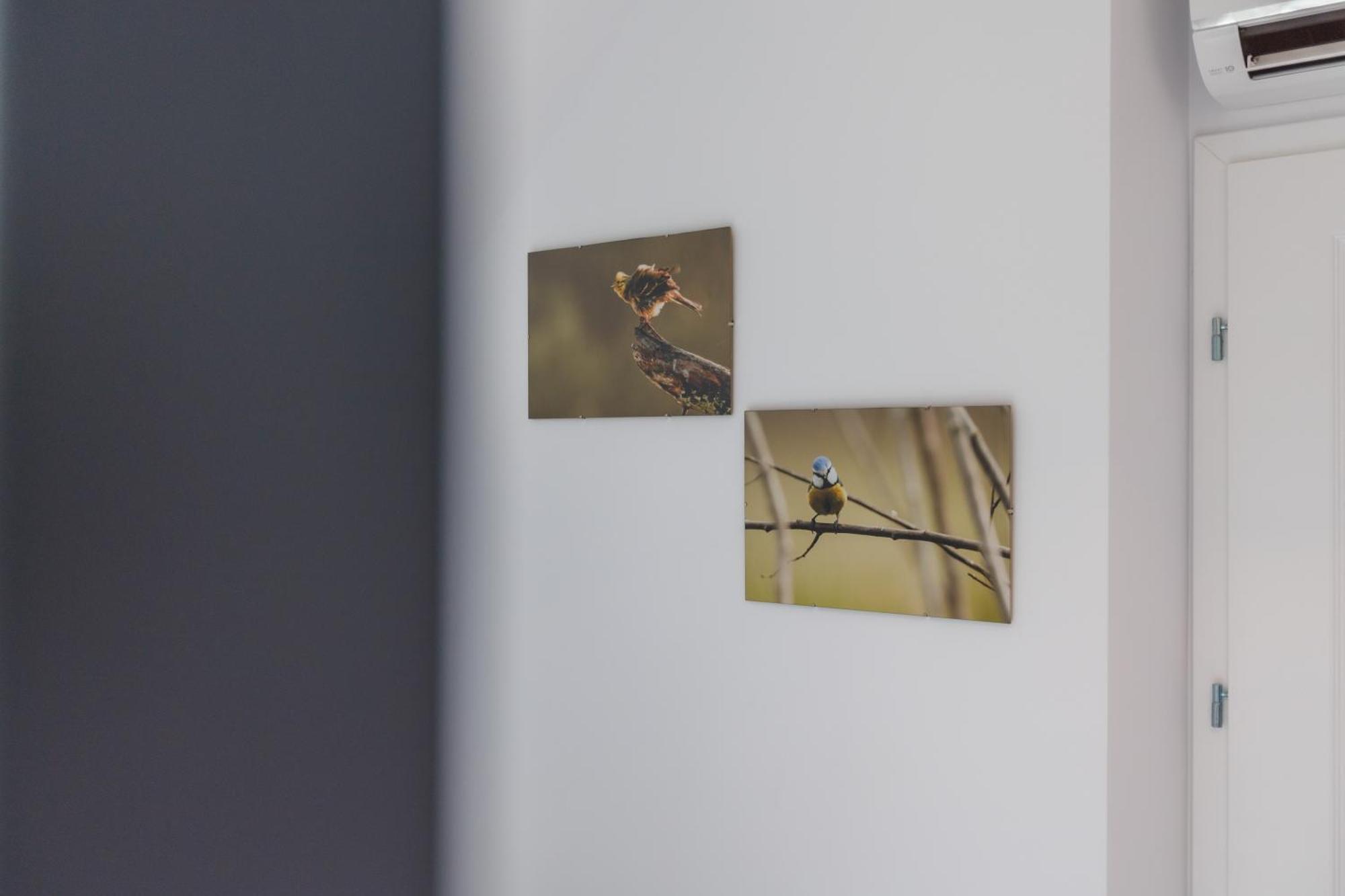 Villaer Lasko - Wildlife Phototherapy - 4 Luksusowe, Klimatyzowane Wille, Z Dostepem Do Oddalonego O 5 Min Spacerem Prywatnego Terenu Rekreacyjnego *